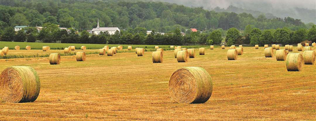 rolls of hay